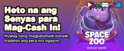 Fast Payouts, More Fun! banner